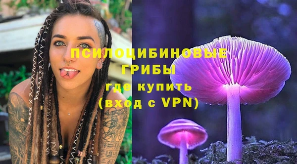 гидра Ельня