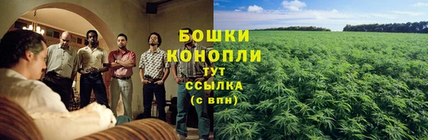 гидра Ельня