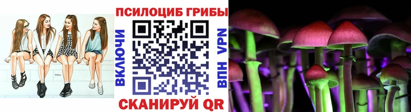 нарко площадка клад  Вольск  kraken как зайти  Псилоцибиновые грибы мицелий  что такое наркотик 