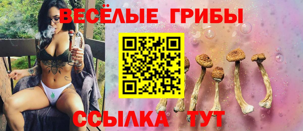 Вольск  Галлюциногенные грибы прущие грибы  Вход с VPN 